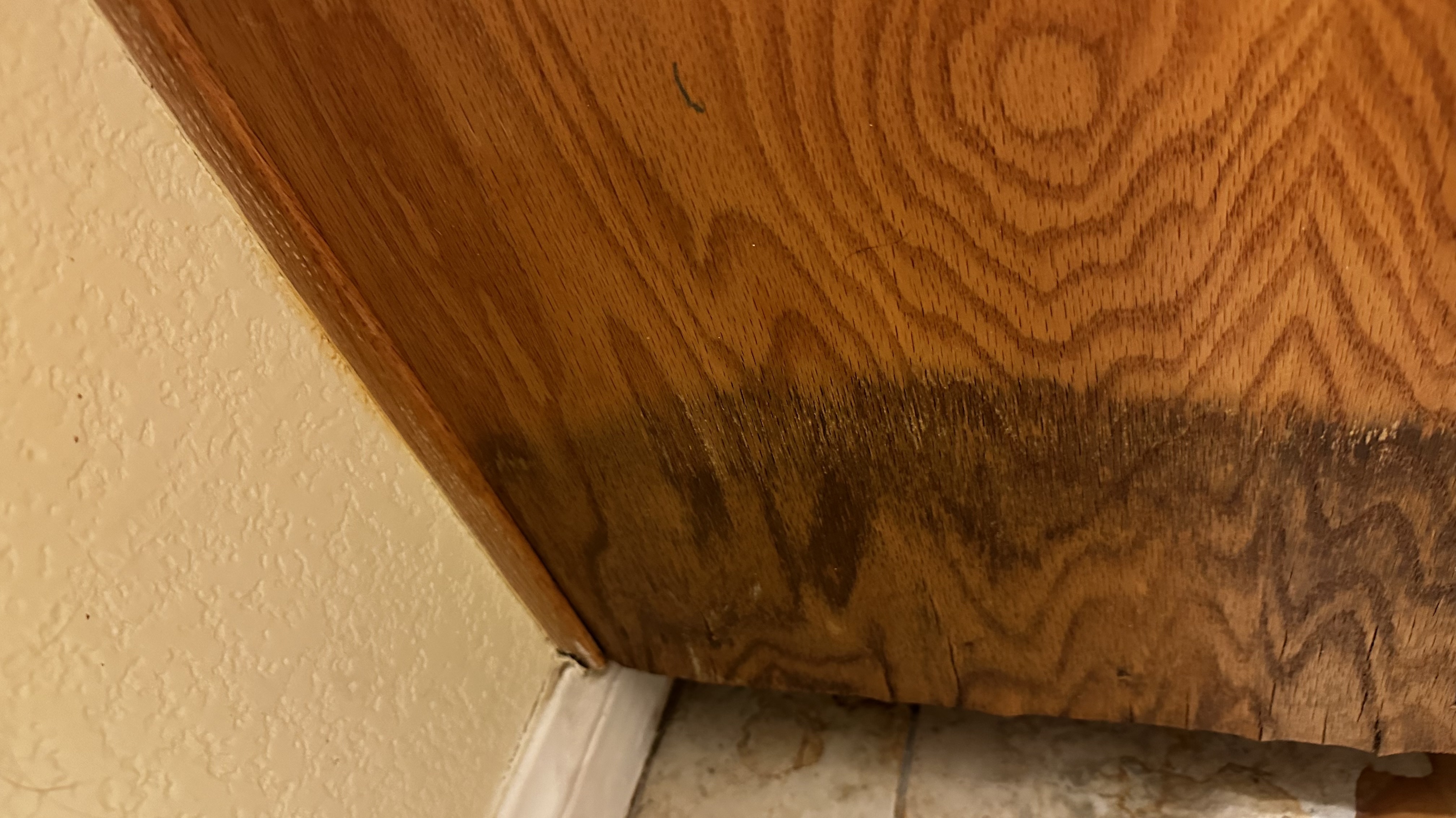 Primary job-site repair detail from a Local Handyman project in Las Vegas related to wood rot repair.