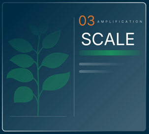 Stage 3, Amplification: Scale
