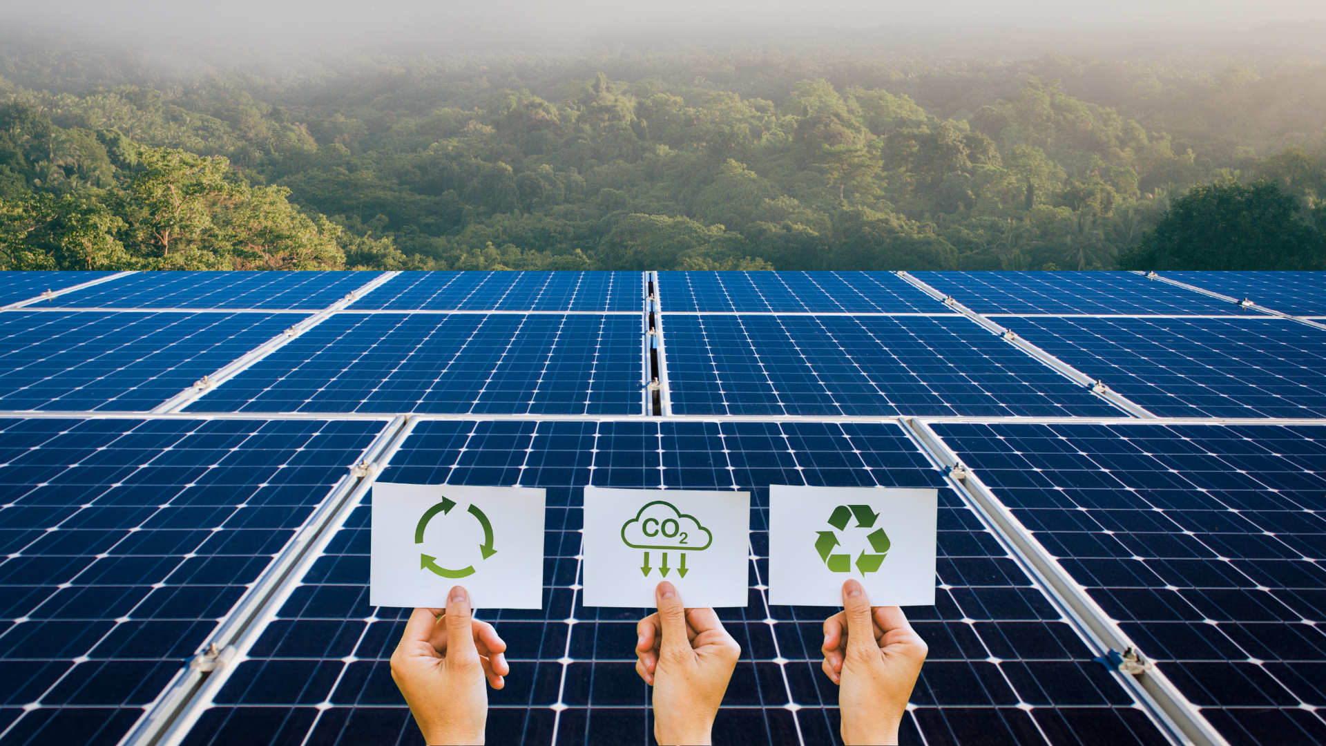 ESG San Blas Oasis — Naturaleza y Sostenibilidad