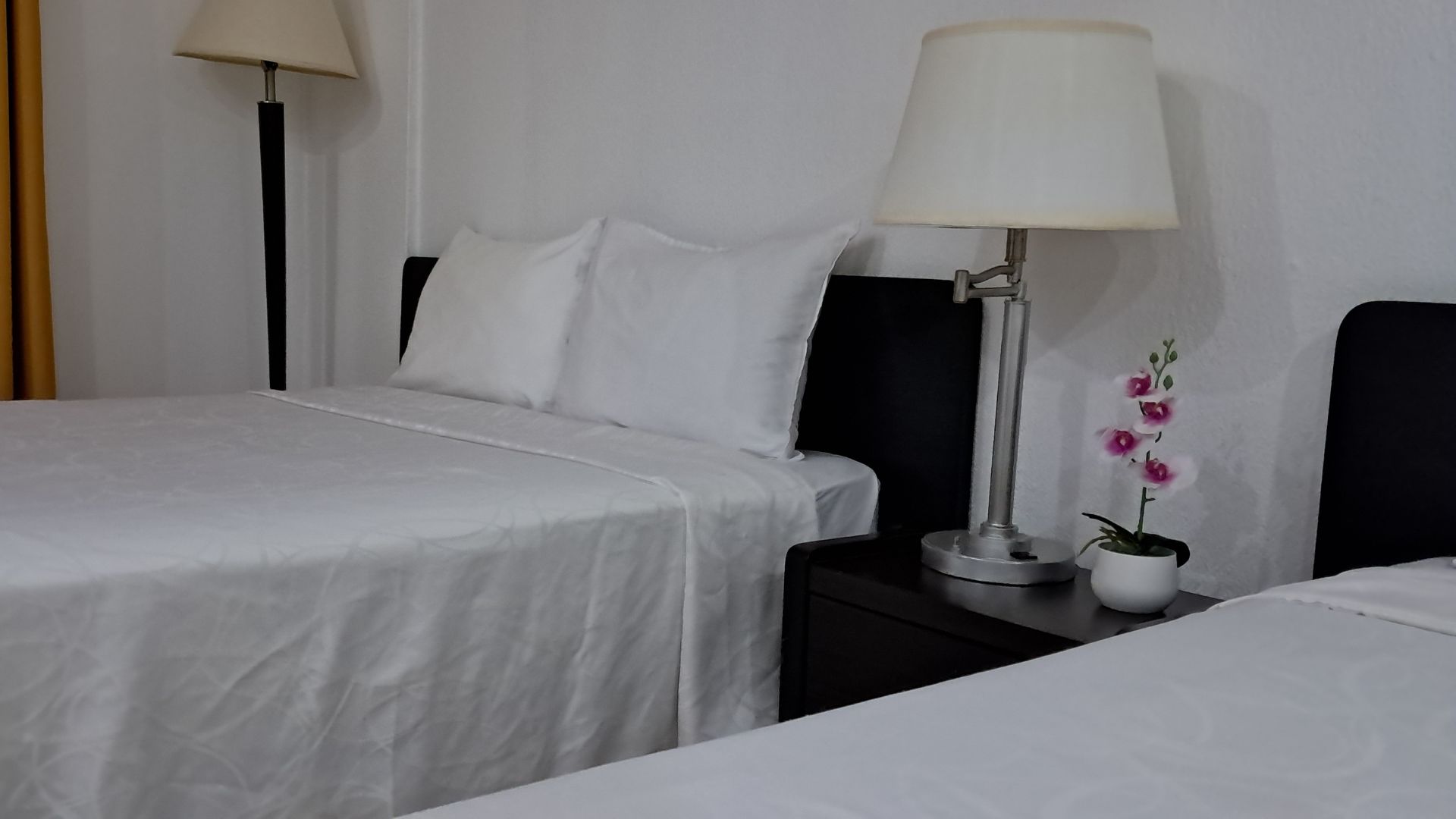 Habitación Hotelera CCP Suites