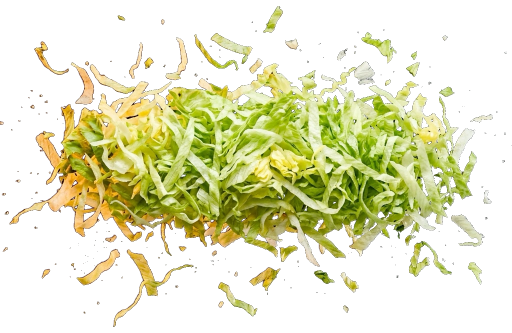 Crisp Finely Shredded Iceberg Lettuce