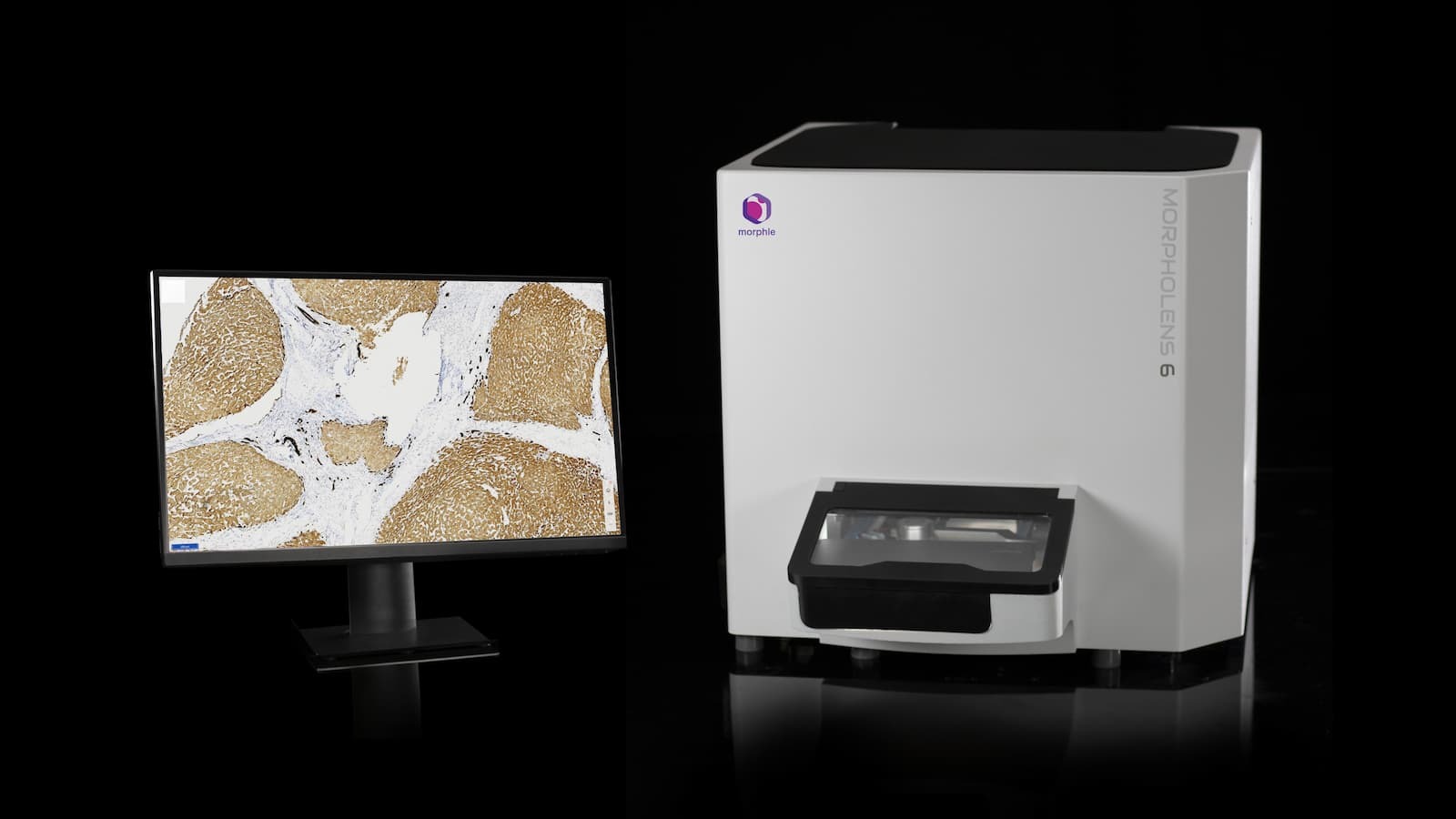 Morpholens 1, 6, 240 automated slide scanners