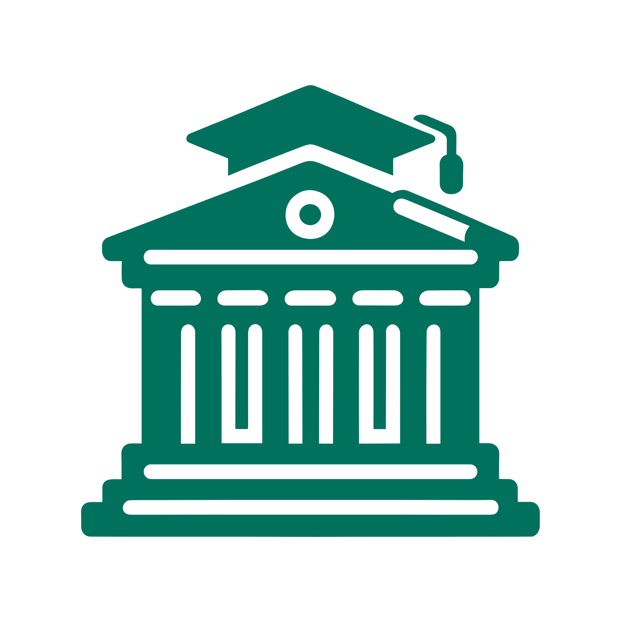 Schools & Universities