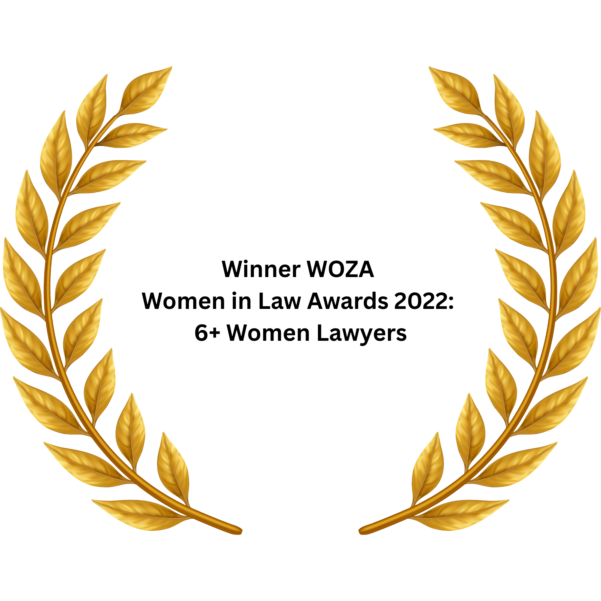Legal award 3