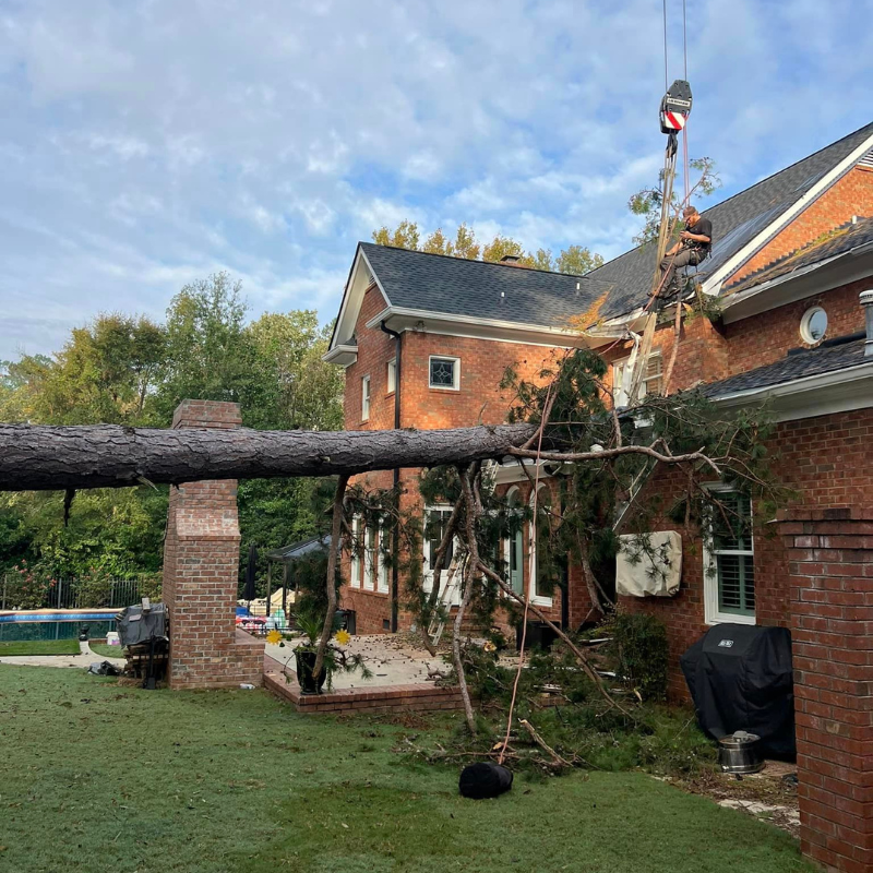 Explicit Land & Tree crew clearing a residential lot in Georgia