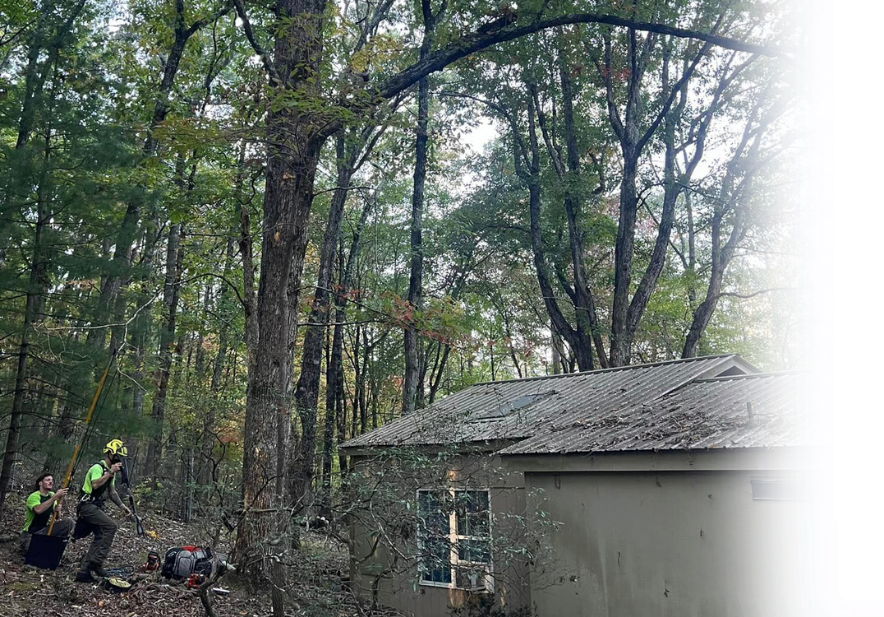 Explicit Land & Tree crew handling a fallen tree, emergency service in Georgia