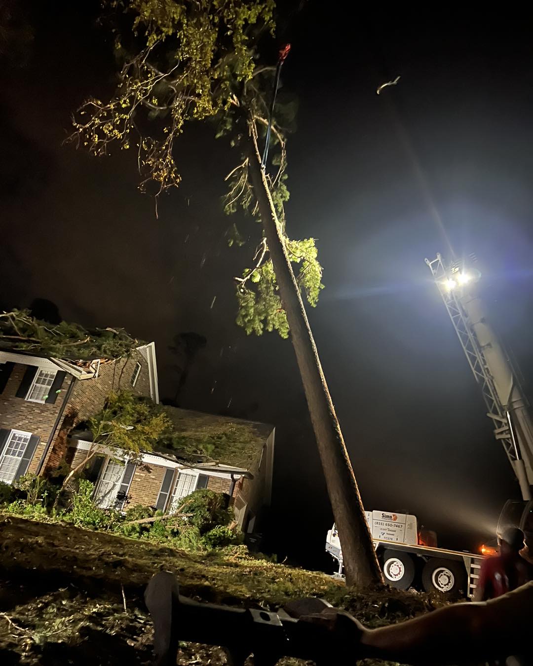 Explicit Land & Tree crew performing tree removal in a Georgia yard