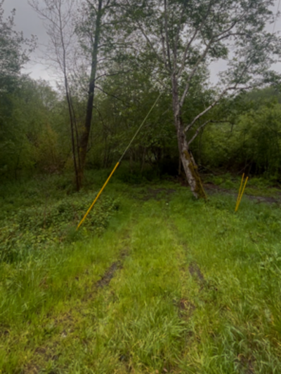 Structure demolition in Mckinleyville