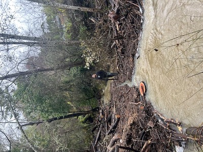 {{ custom_values.service_3 }} in {{custom_values.area_3})