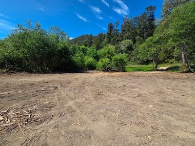 {{ custom_values.service_3 }} in {{custom_values.area_3})