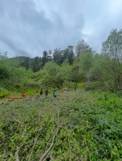 Junk removal in Mckinleyville