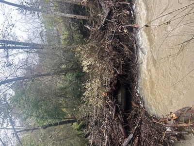 {{ custom_values.service_3 }} in {{custom_values.area_3})