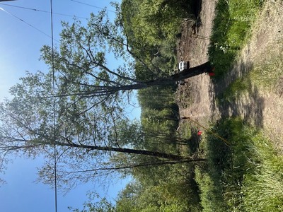 Dumpster rentals in Mckinleyville