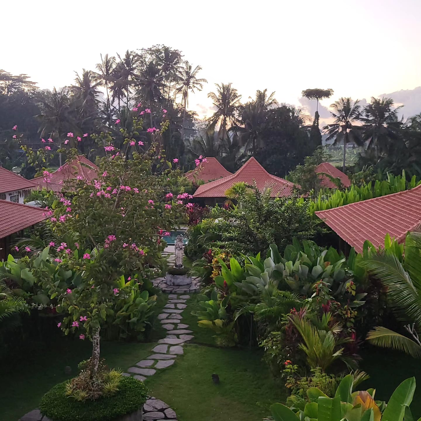Villa rooftops among tropical gardens