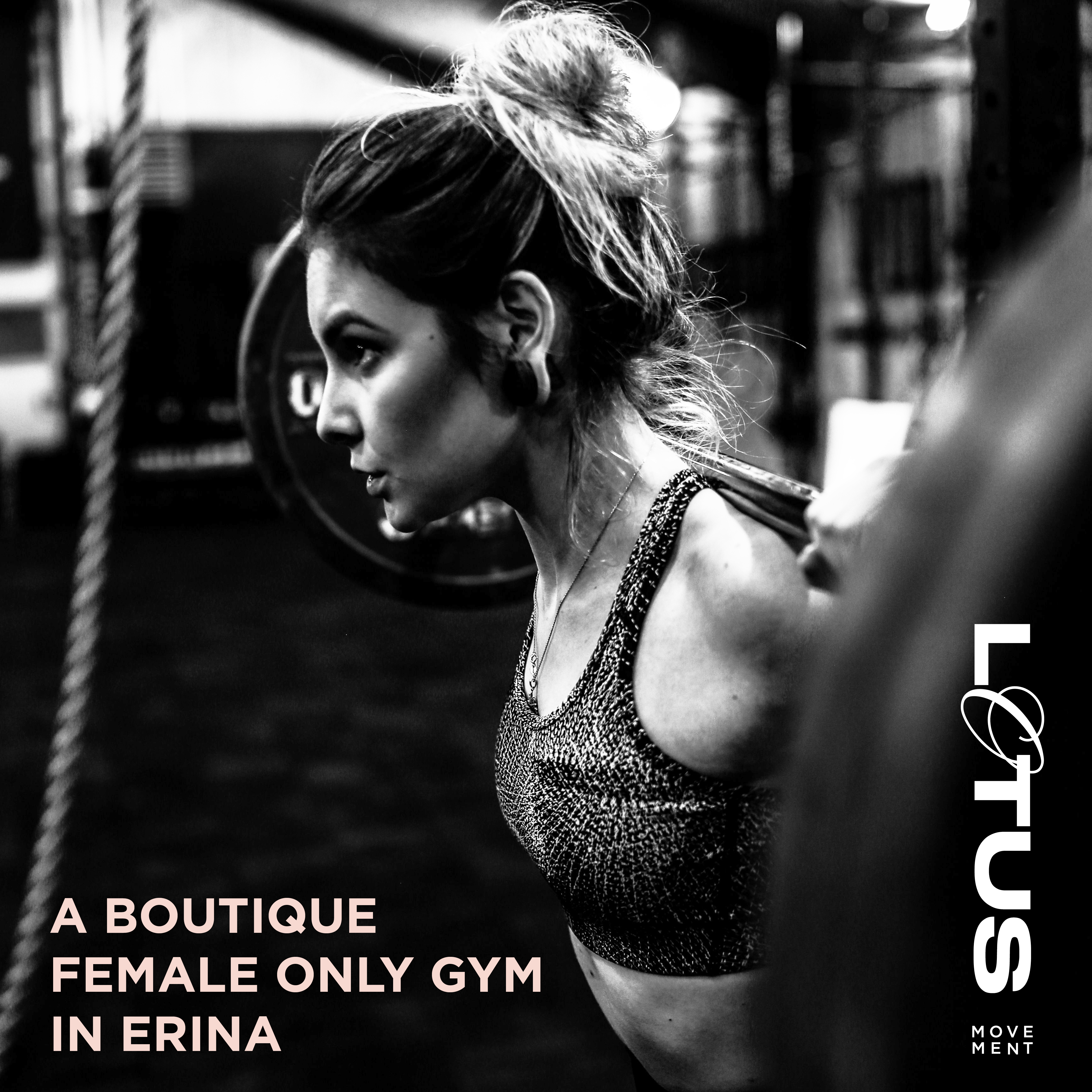 Lotus Movement pilates and yoga studio in Gosford, NSW