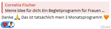 Rückmeldung auf eine strategische Ausarbeitung von Cornelia Fischer: „Das ist tatsächlich mein 3 Monatsprogramm.