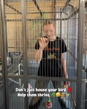 Brisbane Bird Minding Instagram post