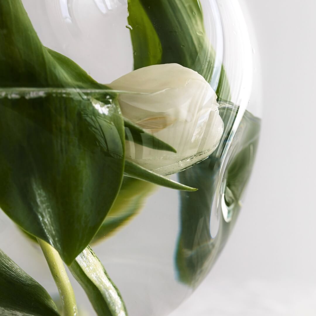 Designing signature offers and crafting soul-aligned business concepts with clarity and flow.