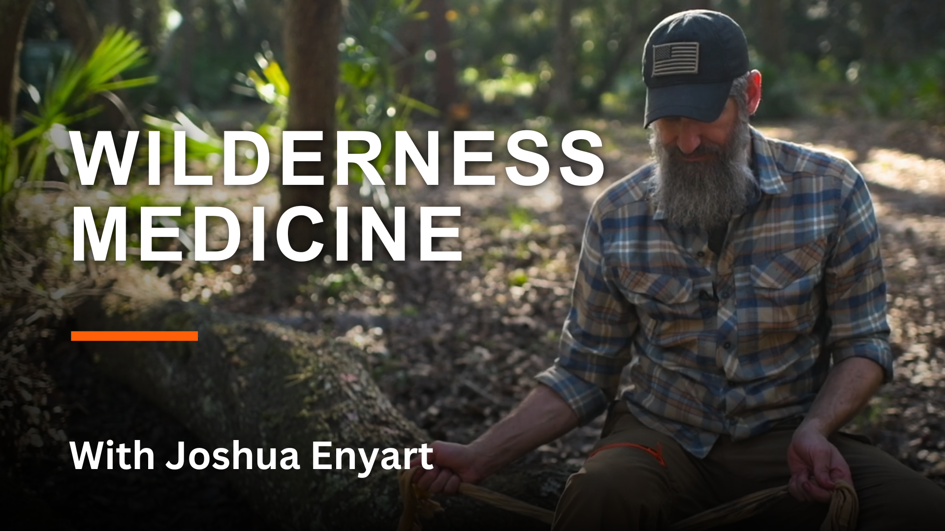 Wilderness Medicine