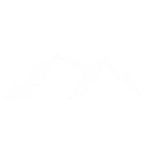 Apex Media Logo - digital marketing agency