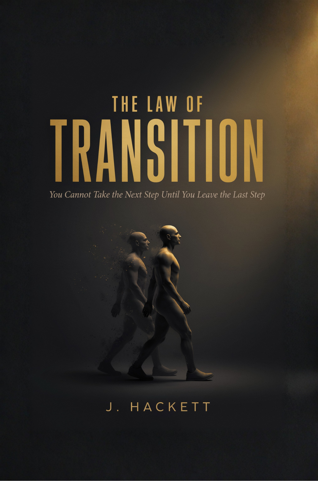 The Law of Transition book cover