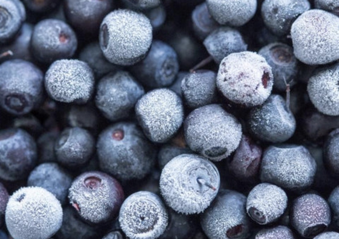 Premium Frozen Blueberries