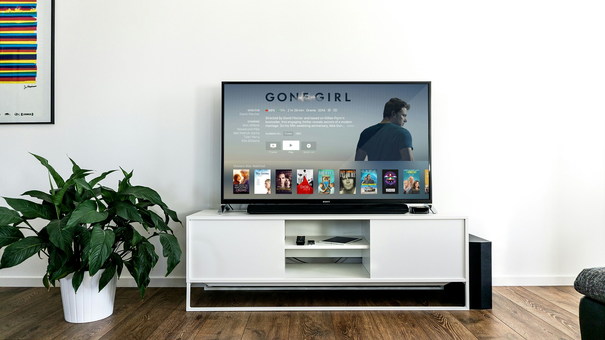 Custom TV Installation