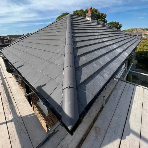 Recent roof project