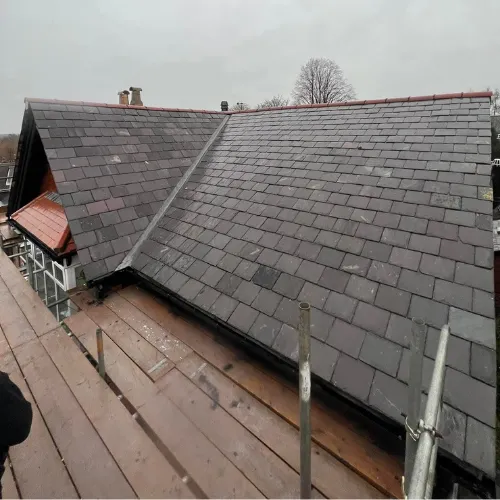 Recent roof project