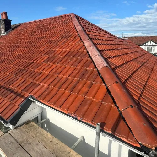 Recent roof project