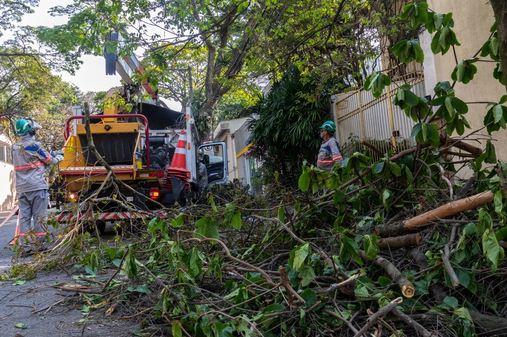 Commercial Tree Services