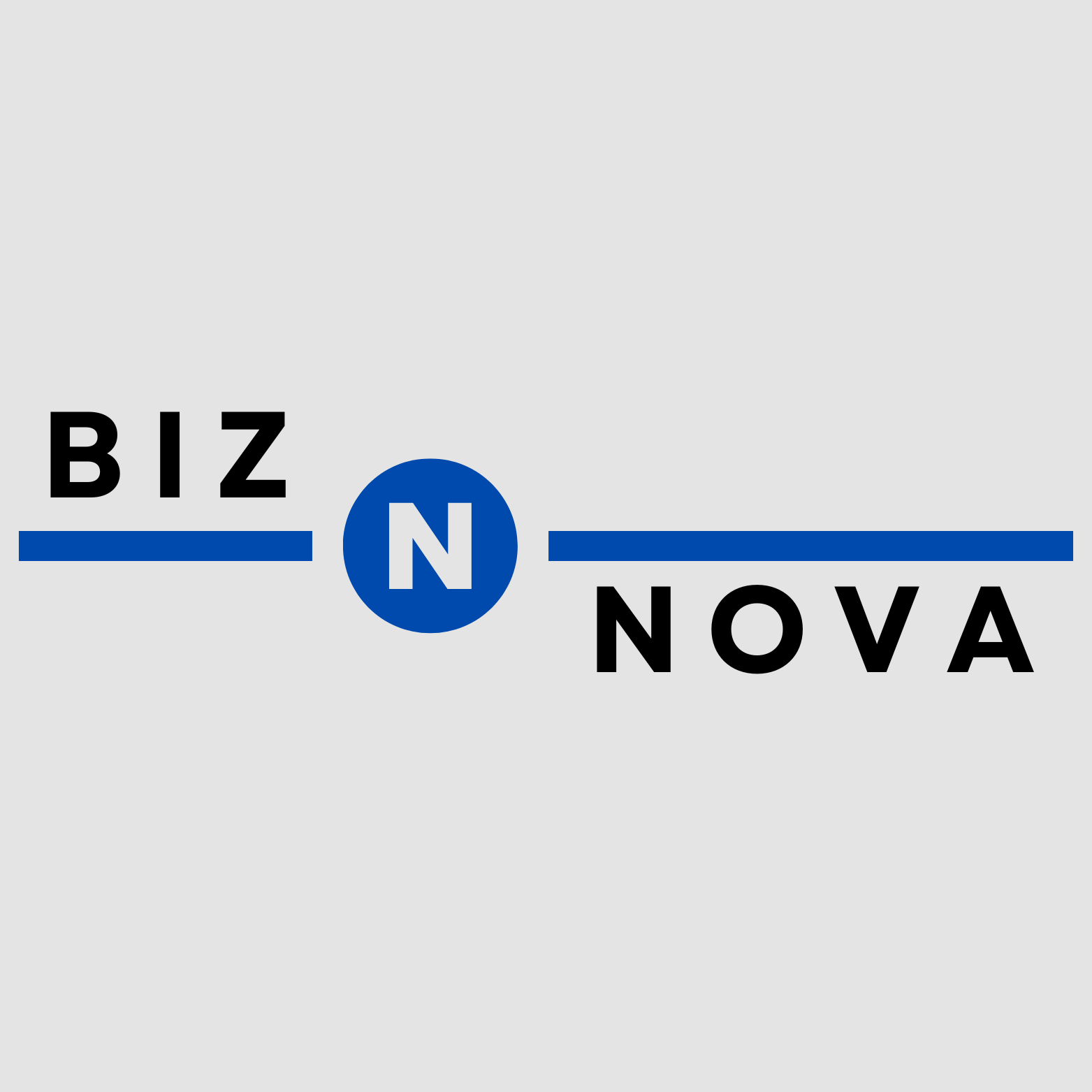 Biz Nova Website solutions
