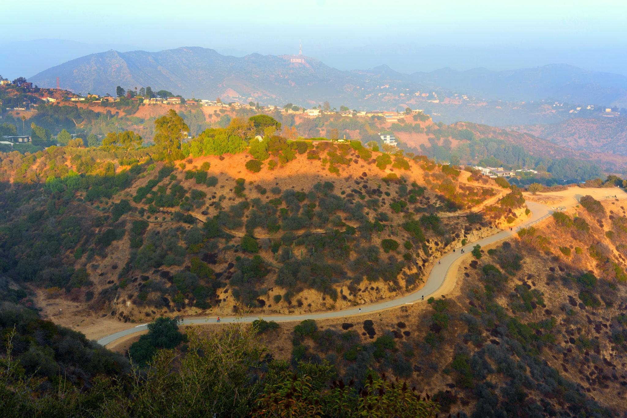Hollywood Hills 