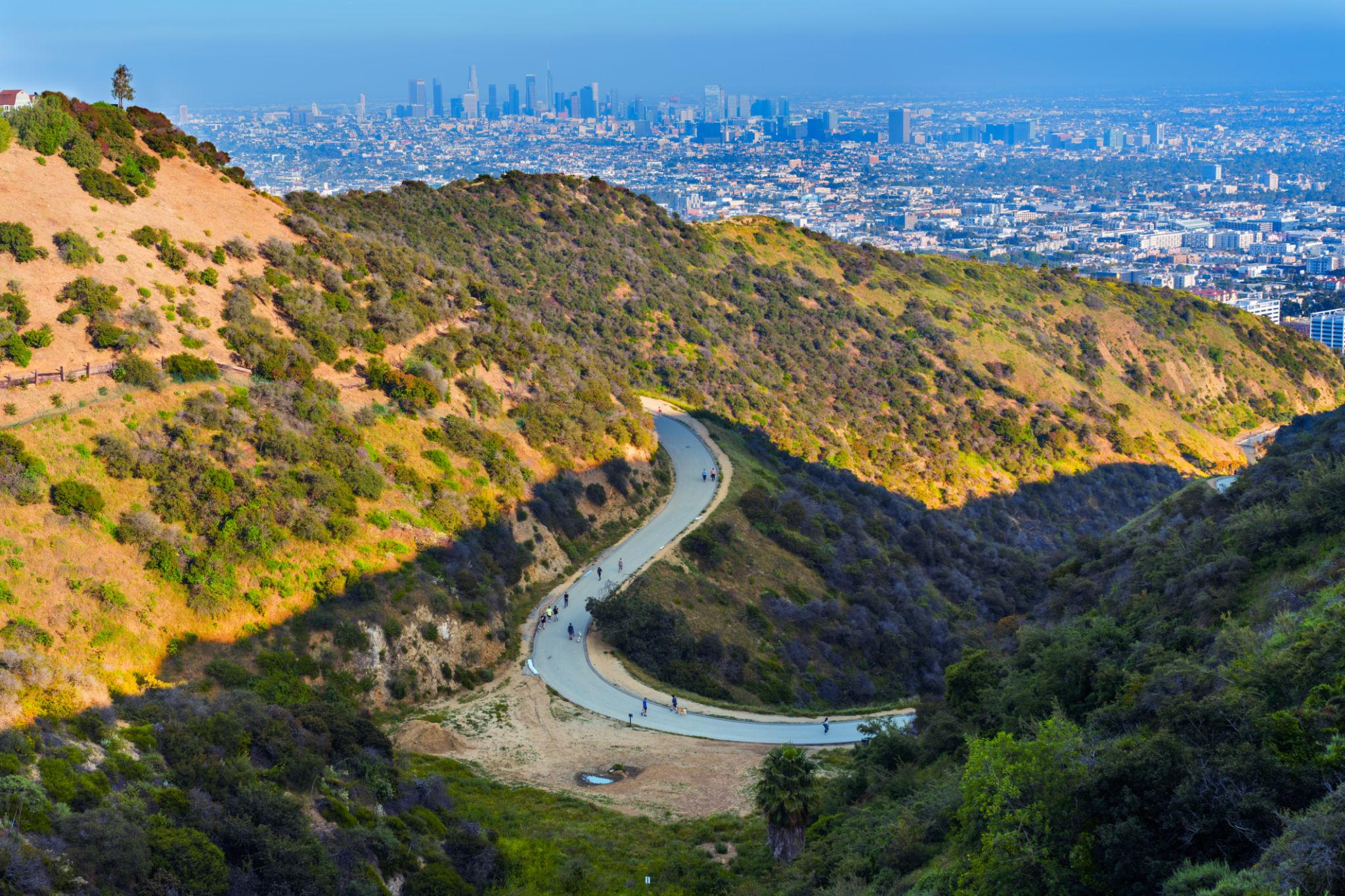 Hollywood Hills 