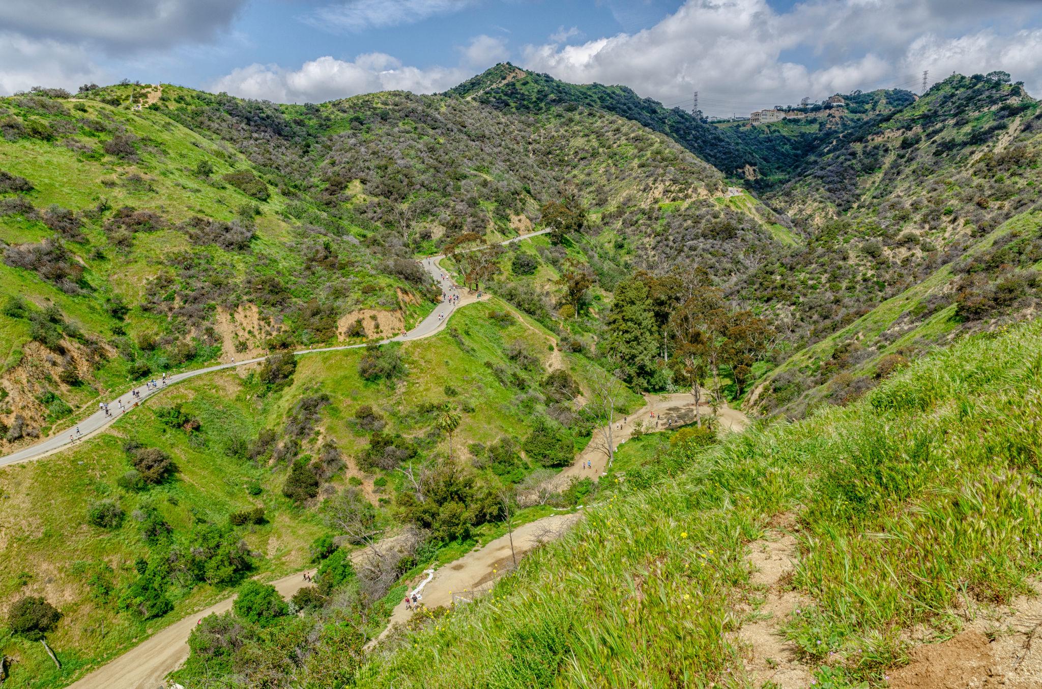 Hollywood Hills 