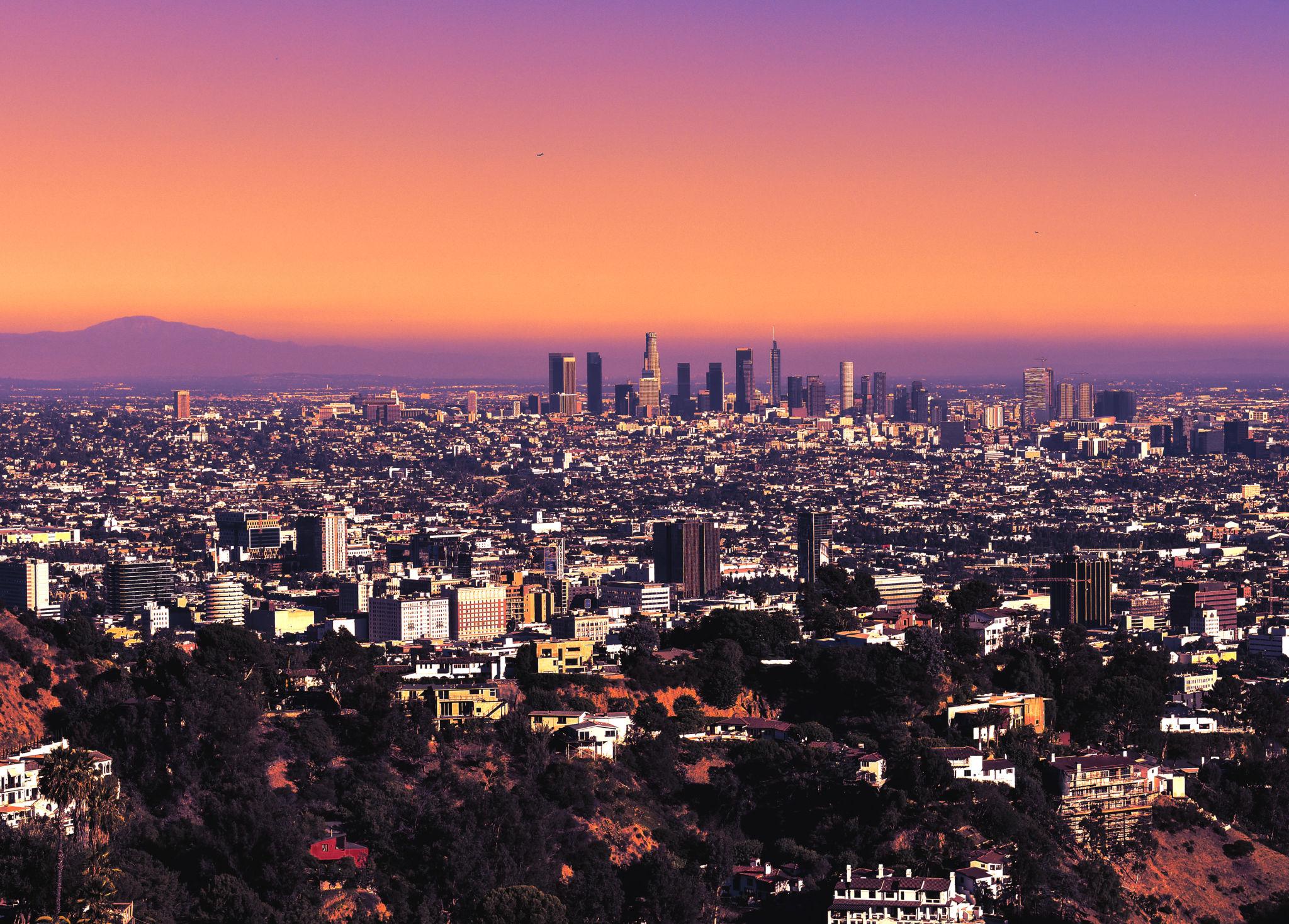Hollywood Hills 