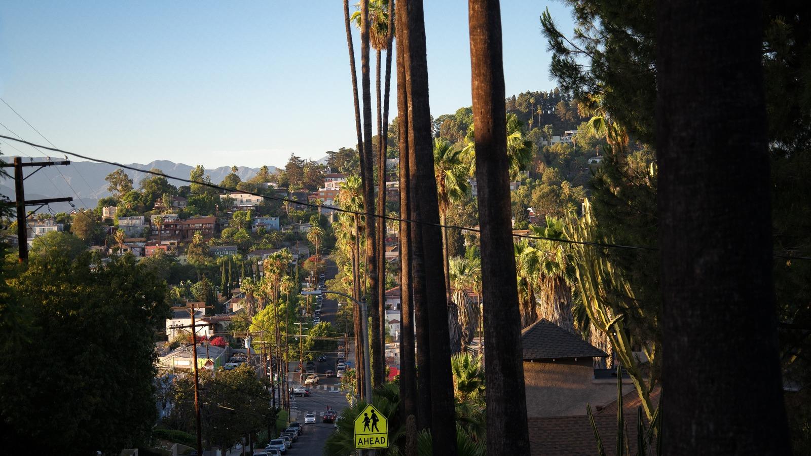 Hollywood Hills 
