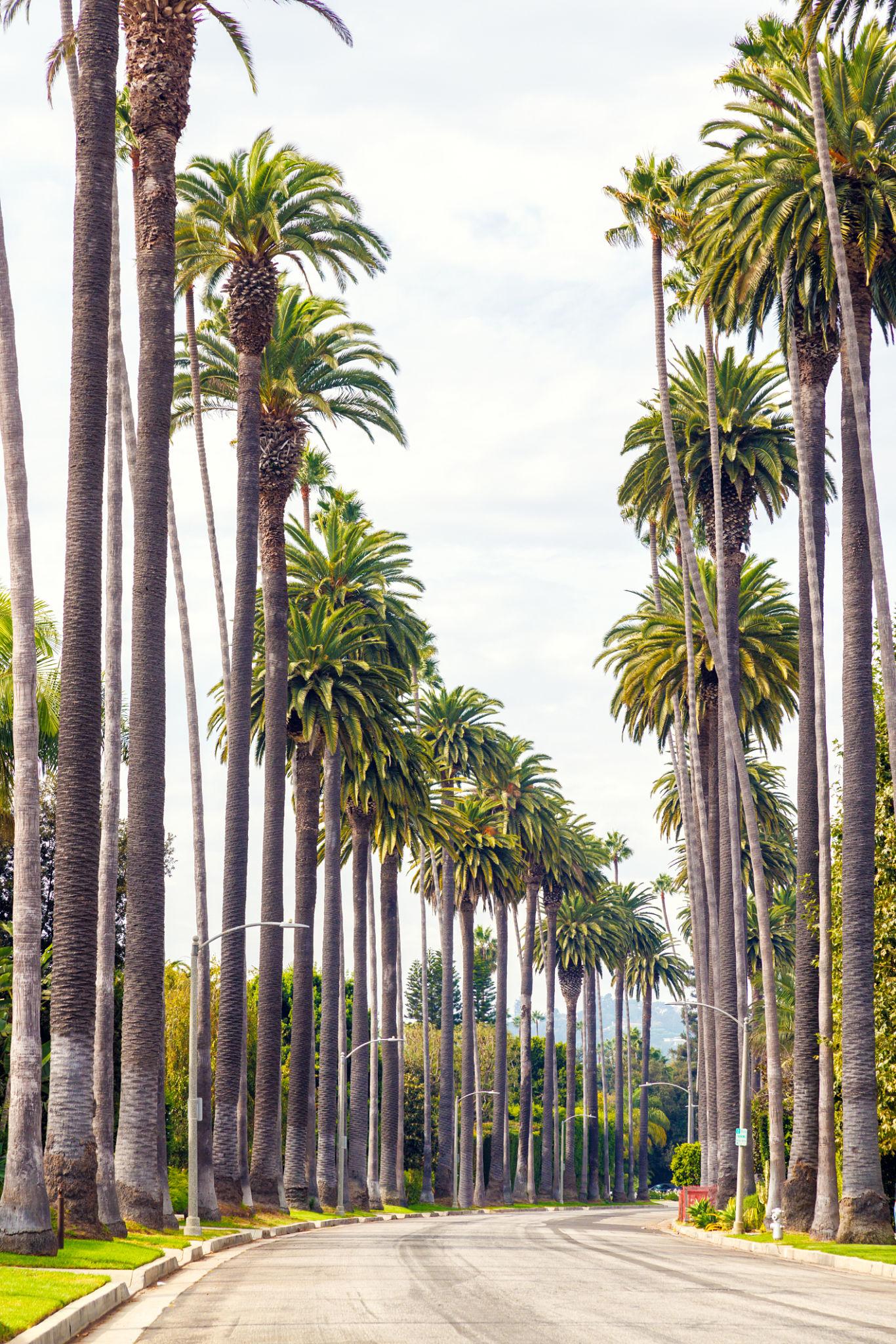 Beverly hills 