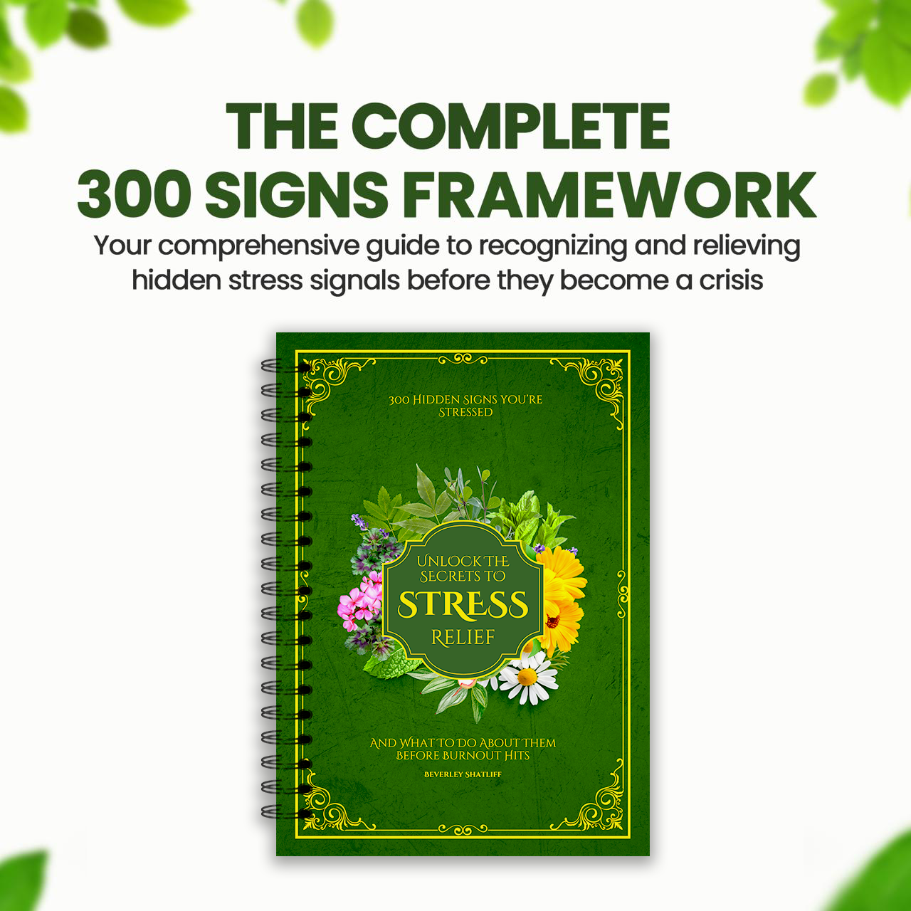 The 300 Signs Framework, Unlock The Secrets To Stress Relief