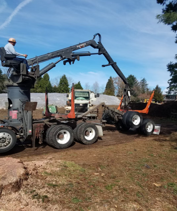 Lightning Tree Service crew operating safely