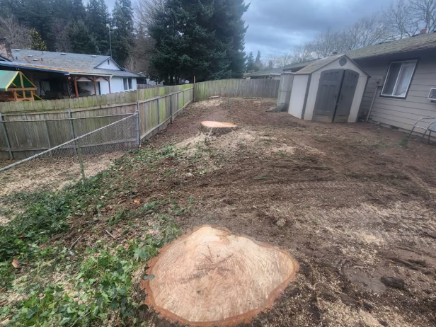 Tree Removal