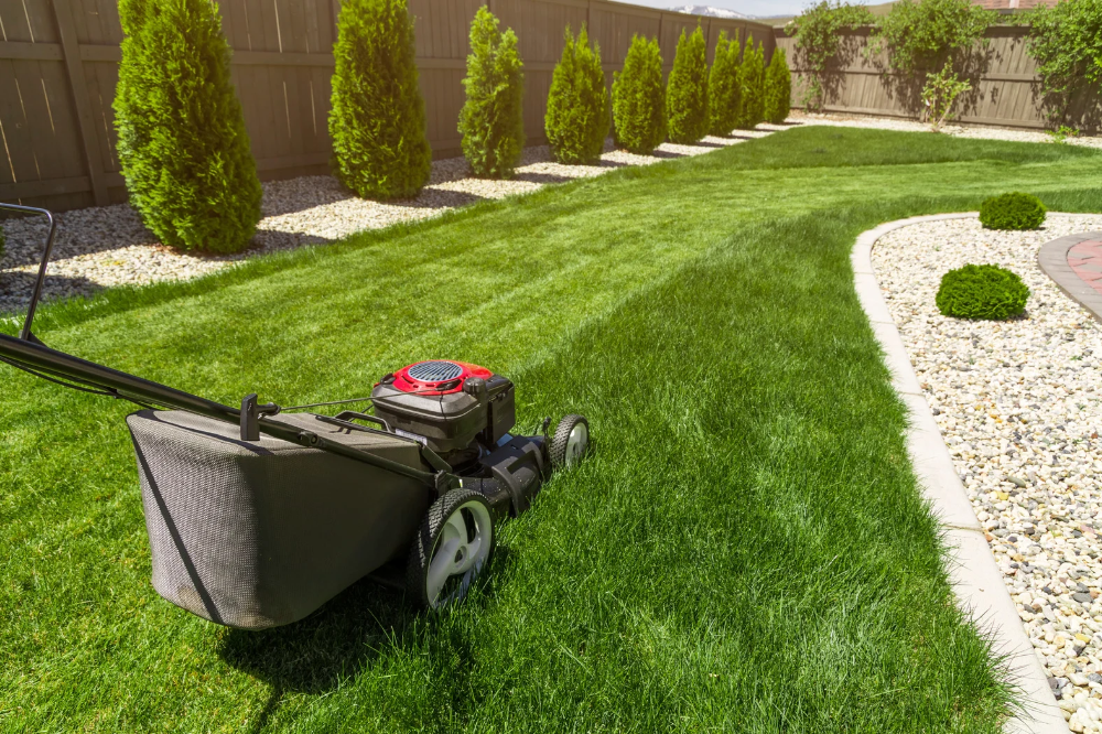 Lawn Maintenance
