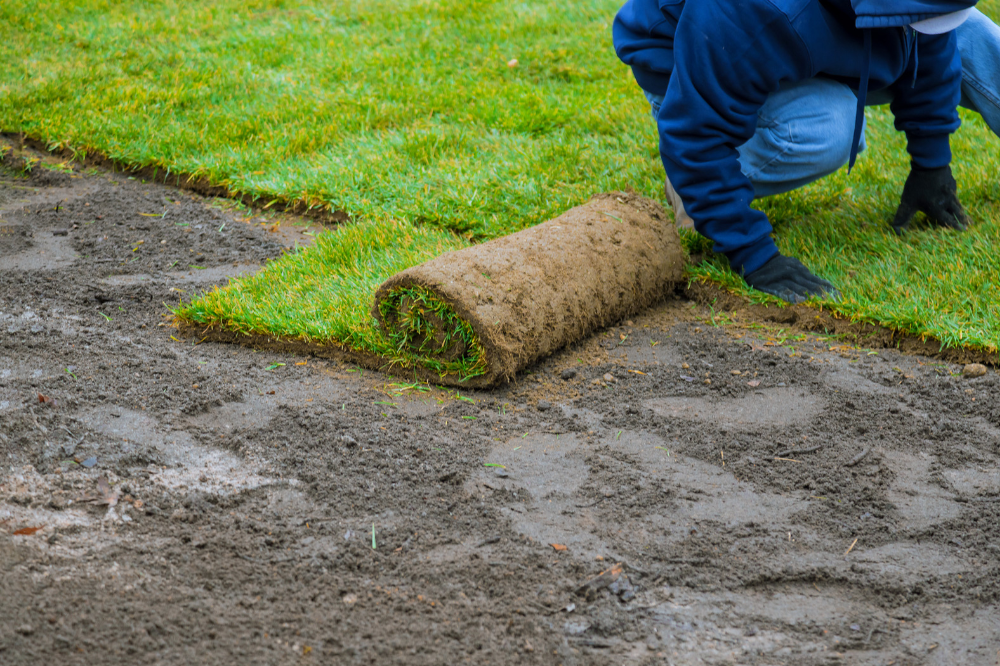 Sod Installation