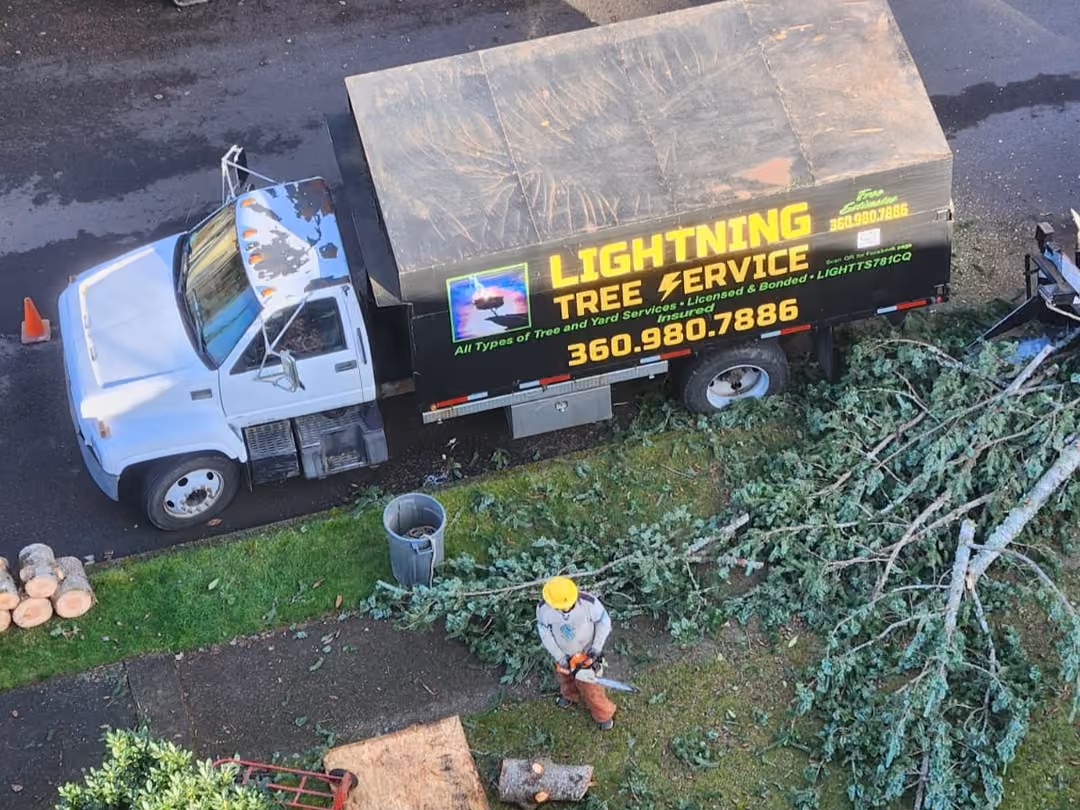 Blackberry Removal