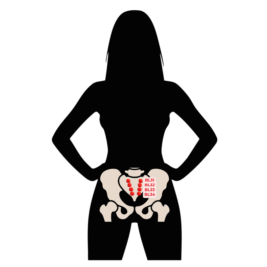 Bladder 32 Acupressure Points