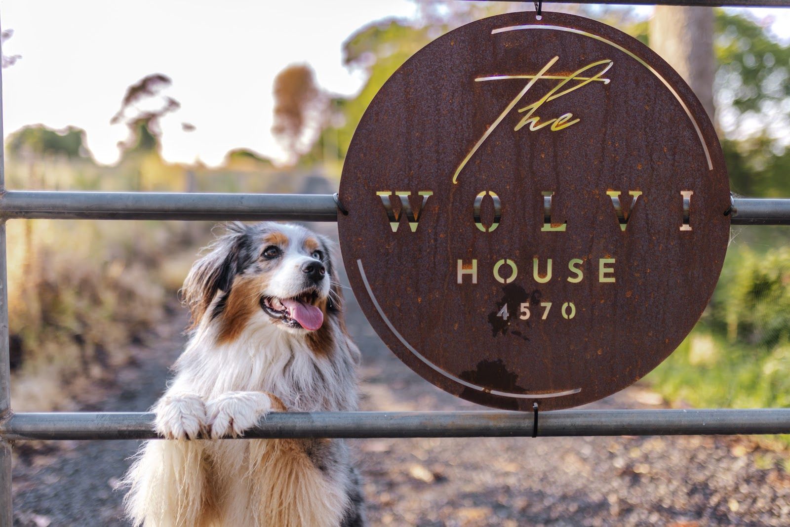 The Wolvi House sign at the front gate