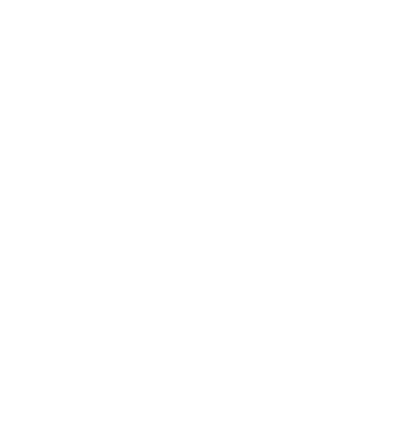 The Wolvi House