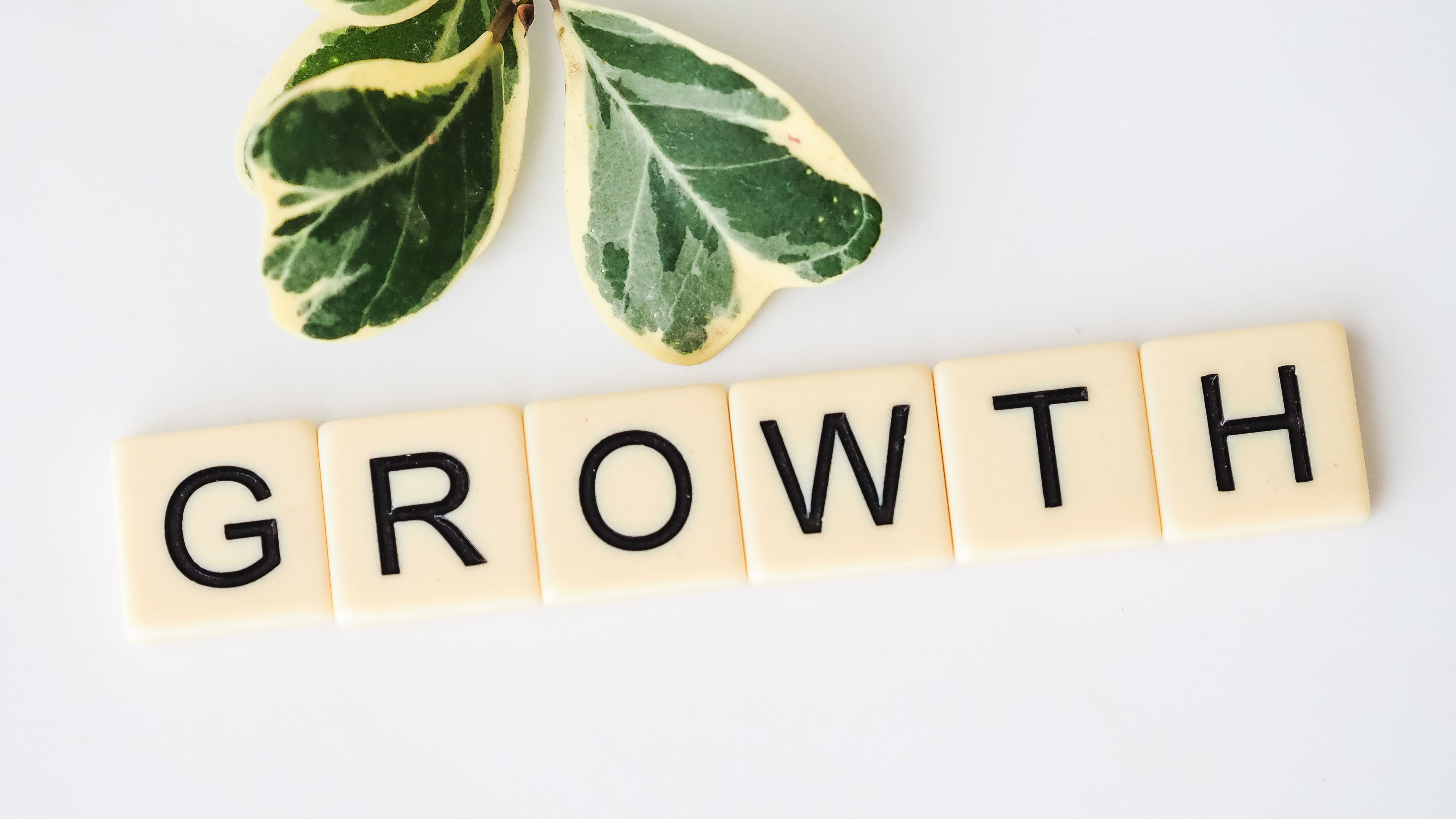 Growth