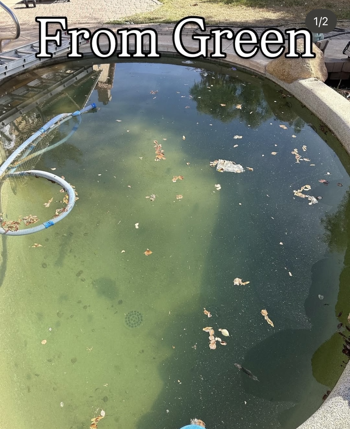 orange county pool cleaning