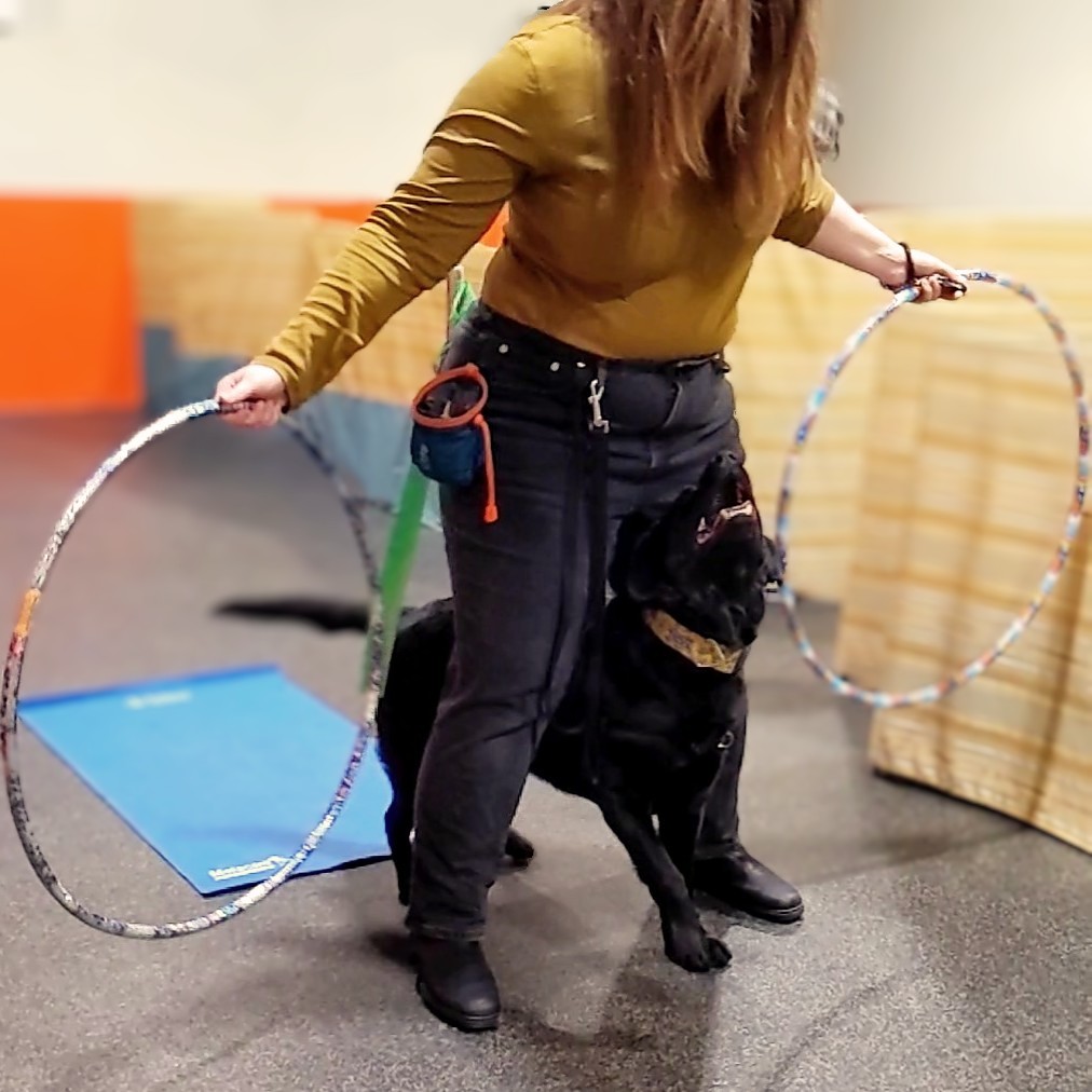 Canine Circus School